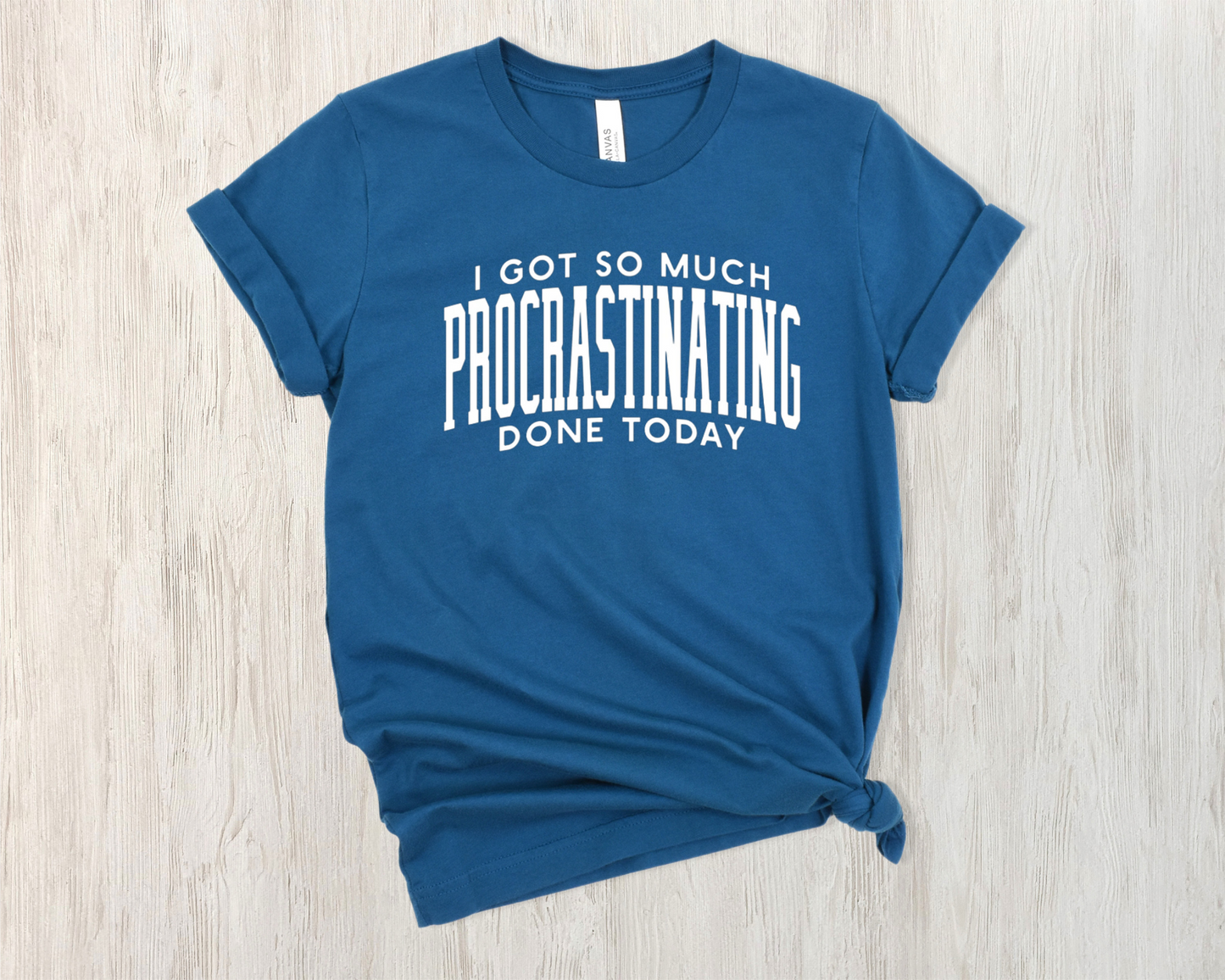 I Got So Much Procrastinating Done Today T-Shirt